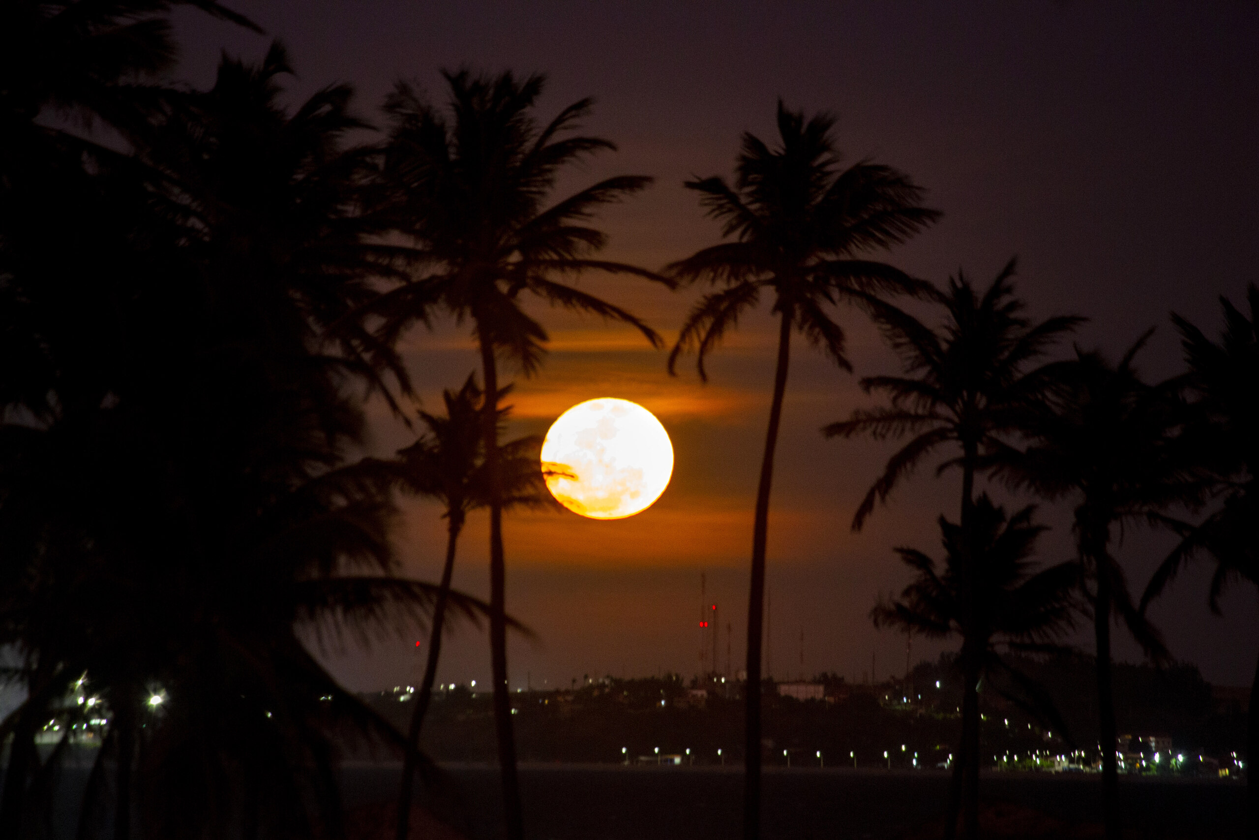 Céu Noturno Céu Noturno - foto 16