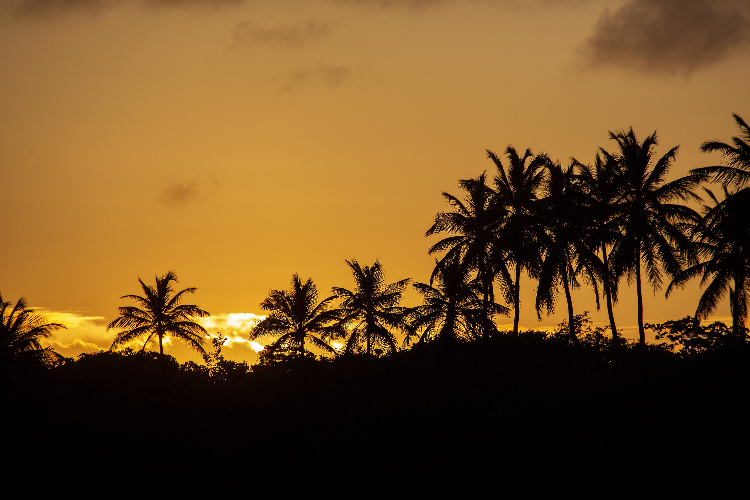 Pôr do Sol - foto 11