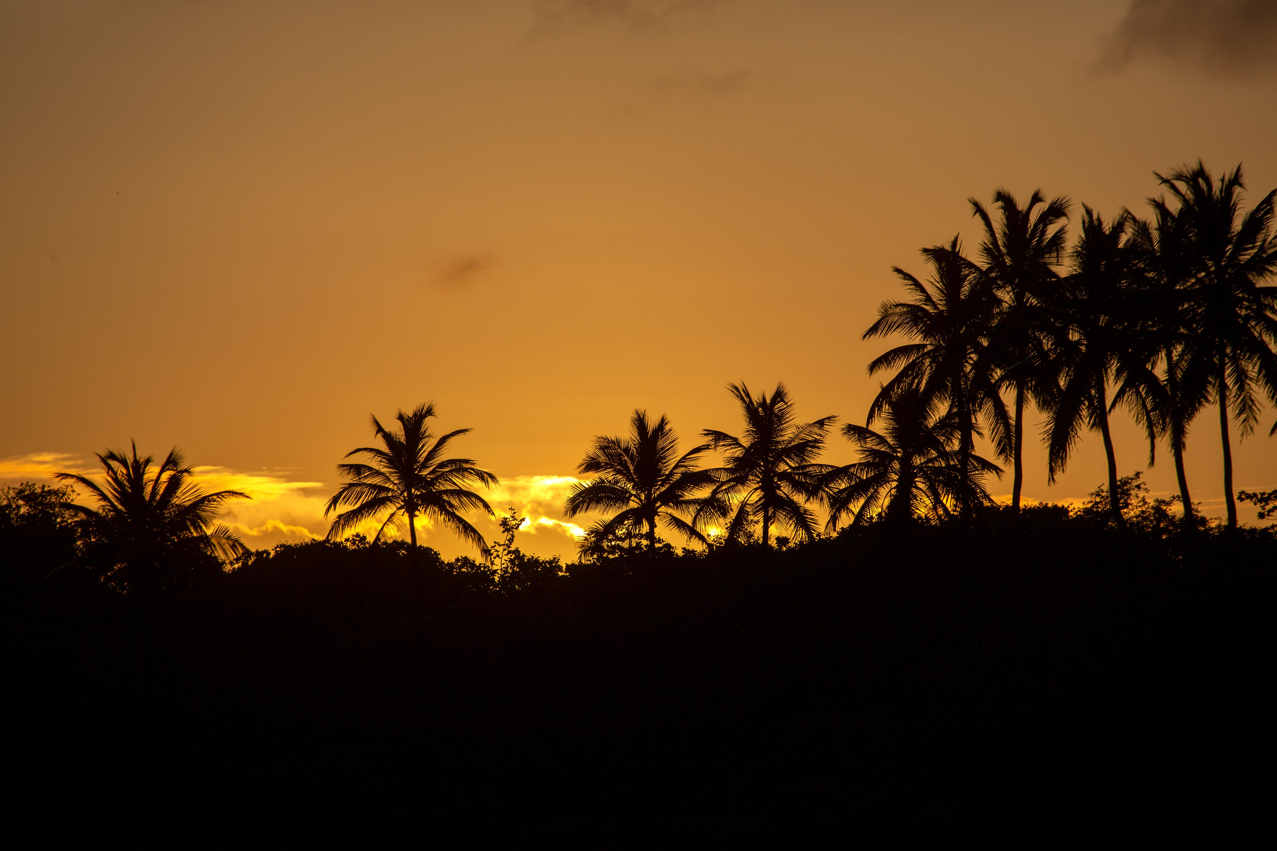 Pôr do Sol - foto 6