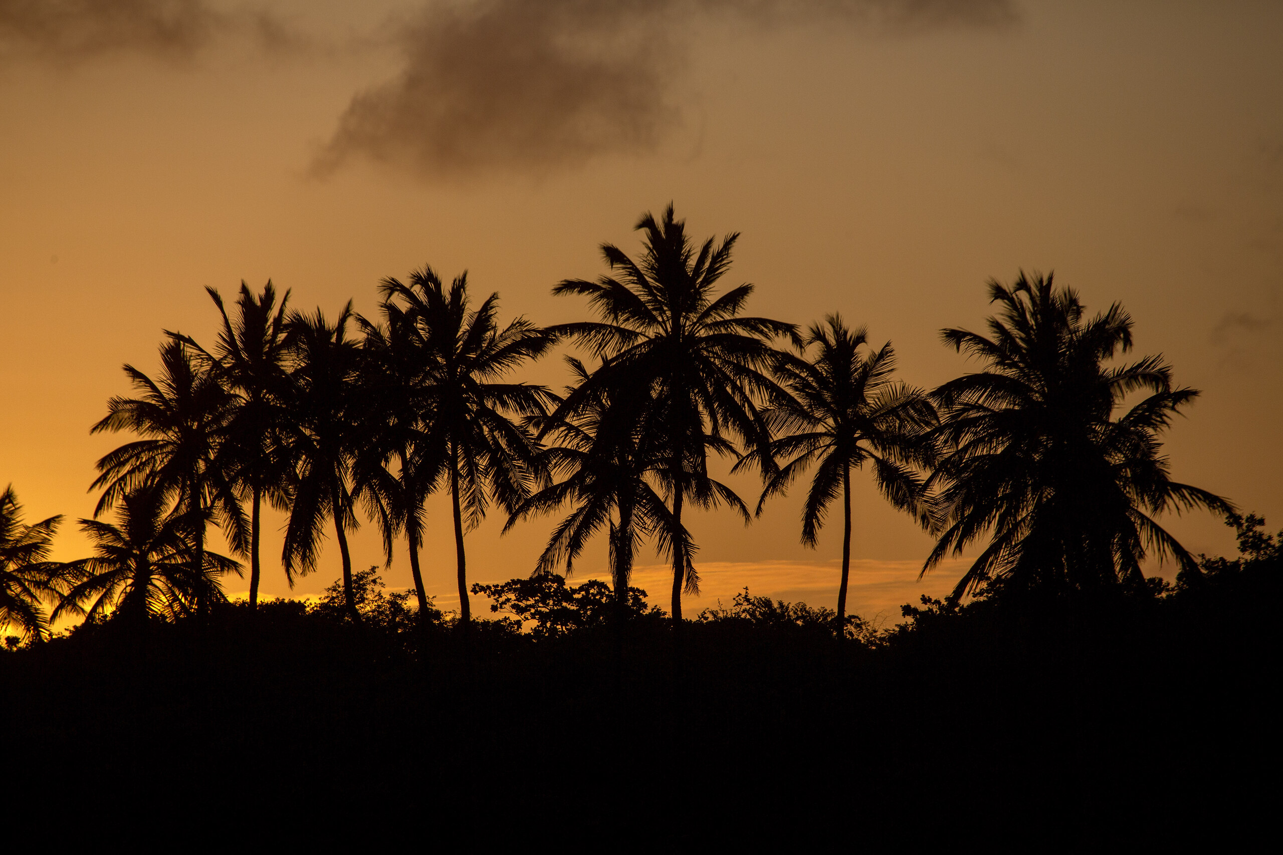 Pôr do Sol - foto 50