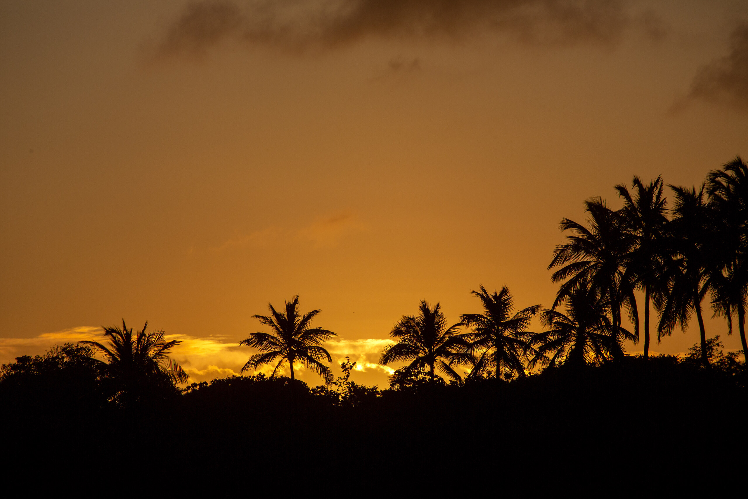 Pôr do Sol - foto 8