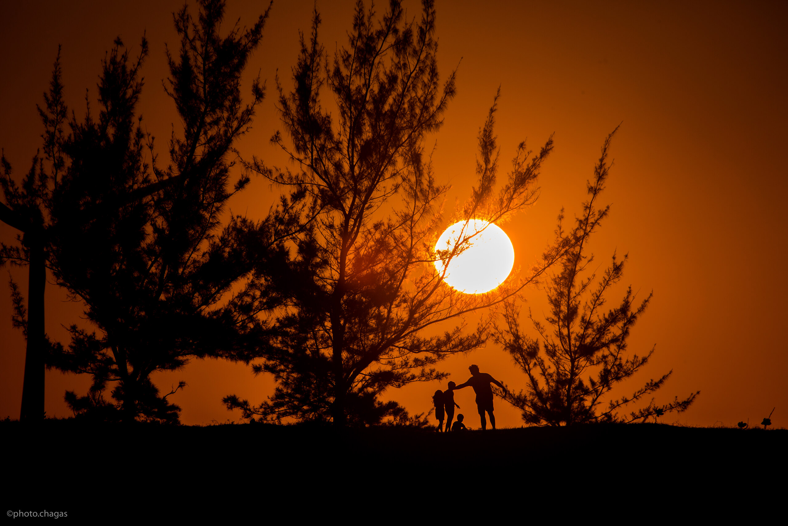 Pôr do Sol - foto 30