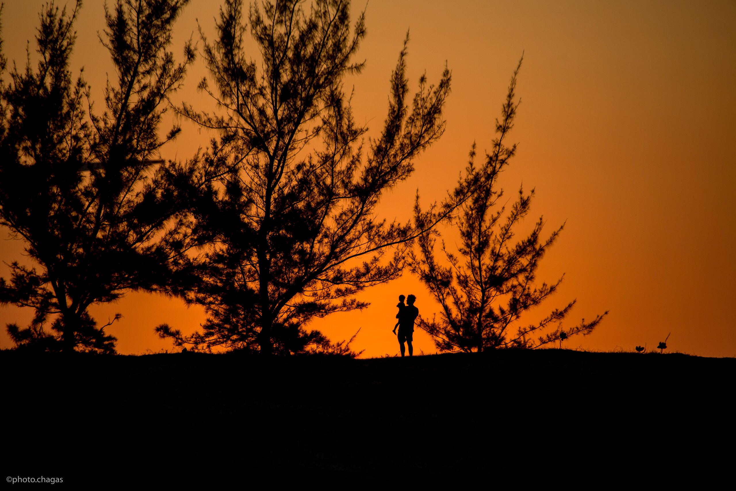 Pôr do Sol - foto 37