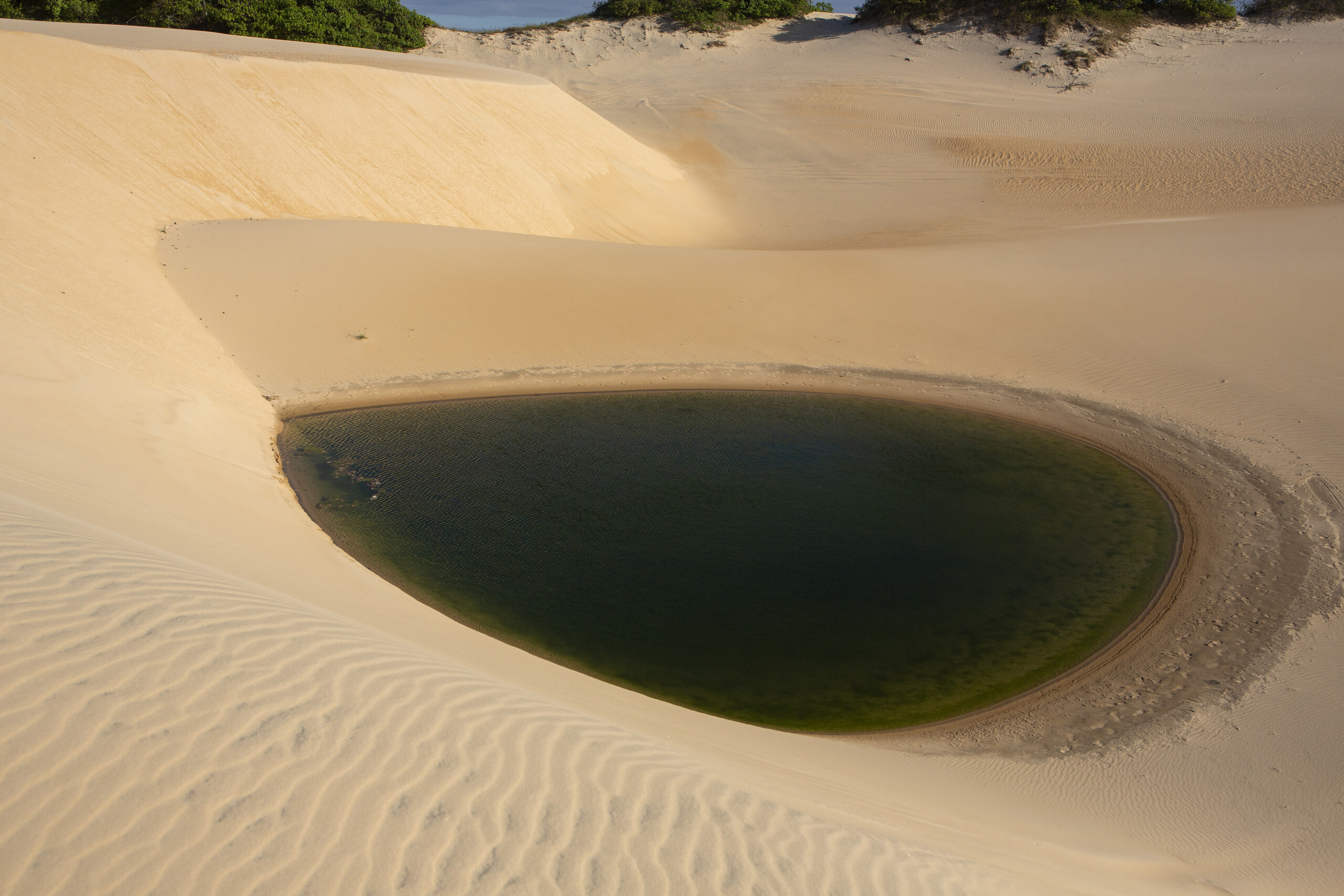 Dunas Dunas - foto 24